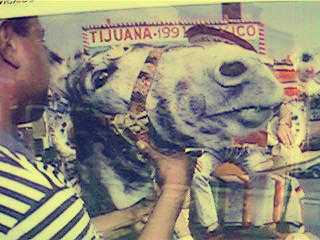 Fot&oacute;grafo por un dia